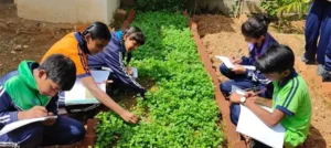 Activity-Based Schooling